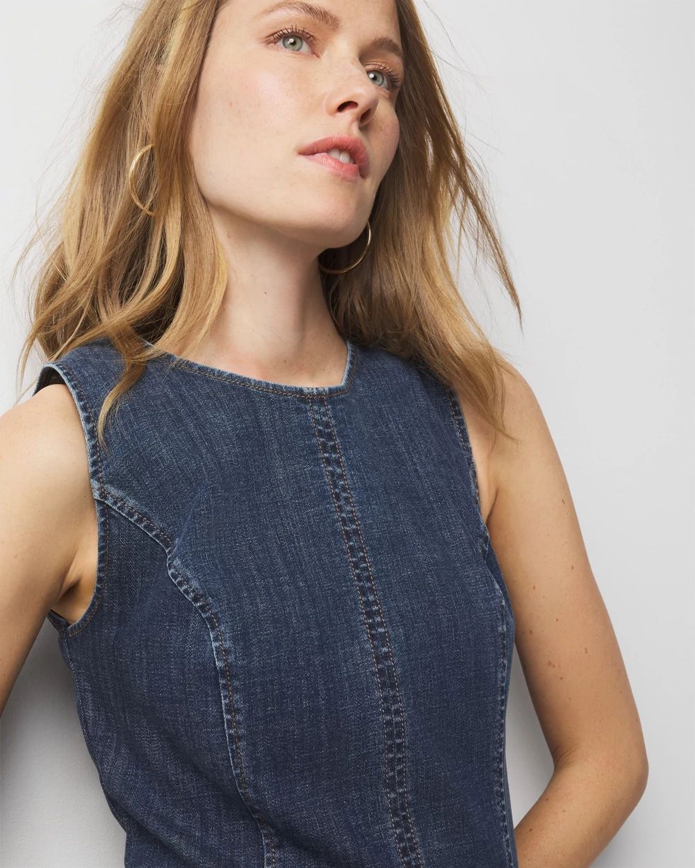 Petite Denim Sheath Dress